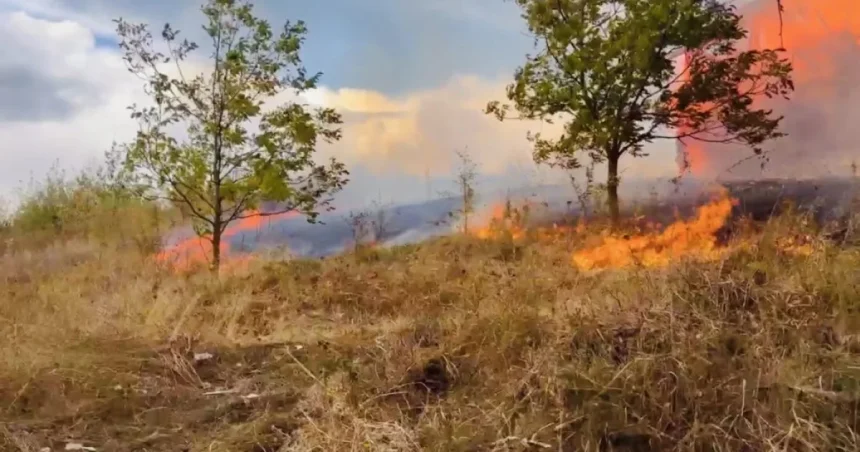 Incendiere vegetație uscată lăsată nesupravegheată. Amendă de 15.000 de lei