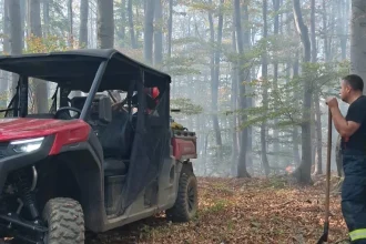 Incendiu la Crivița – Culmea Eșelniței: flăcările se extind, 12 hectare afectate