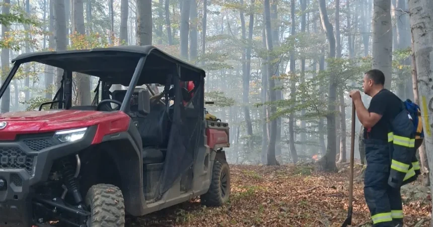 Incendiu la Crivița – Culmea Eșelniței: flăcările se extind, 12 hectare afectate