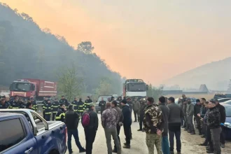 Trei incendii puternice în Mehedinți: sute de hectare afectate